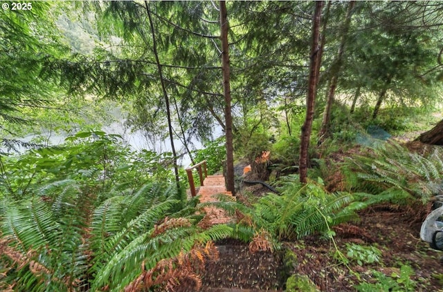 80487 Sha Ne Mah Rd, Seaside, OR 97138 - view of undeveloped land