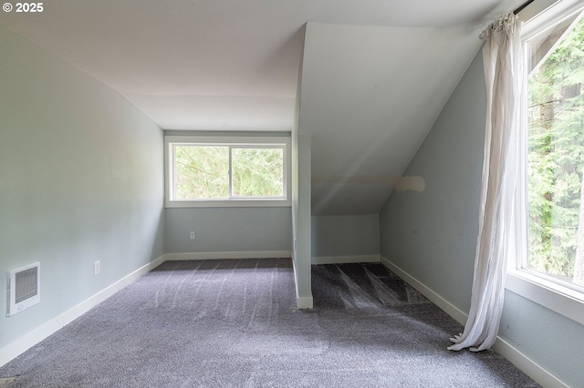 additional living space featuring carpet floors, lofted ceiling, and baseboards