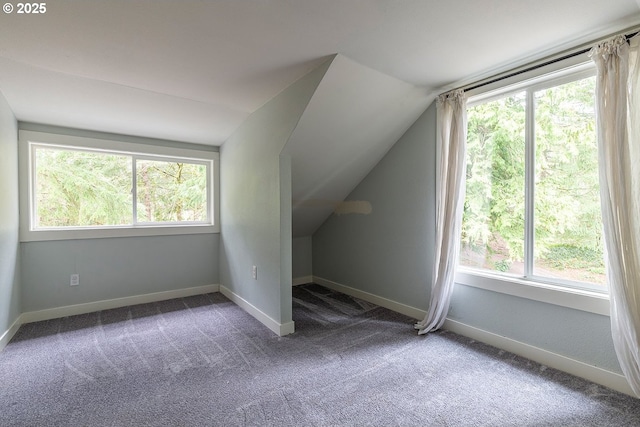 bonus room featuring lofted ceiling, carpet flooring, and a wealth of natural light