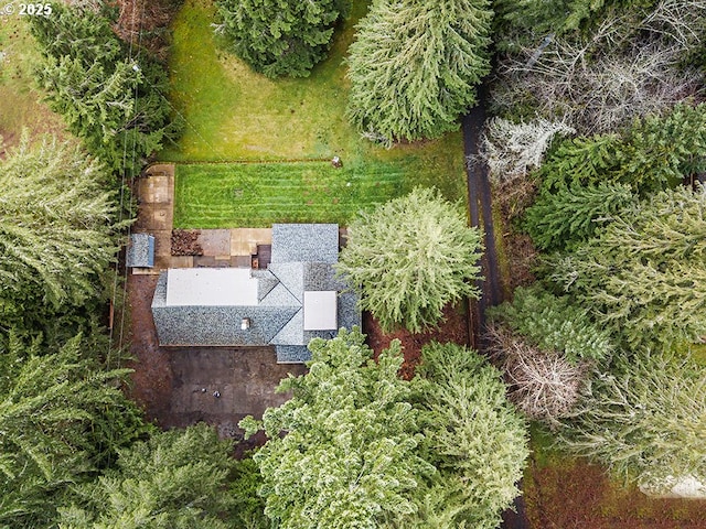 drone / aerial view