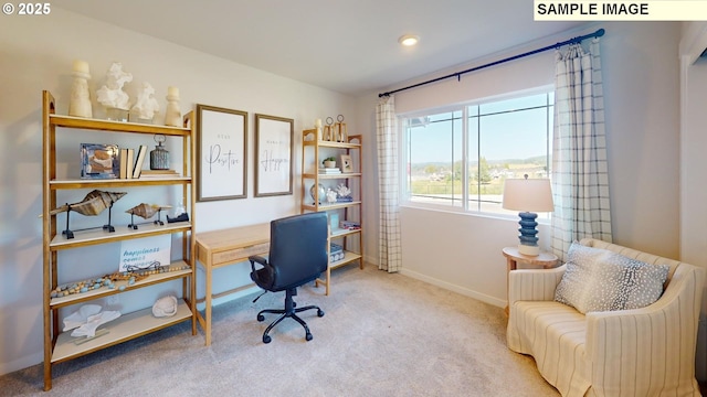 view of carpeted office space