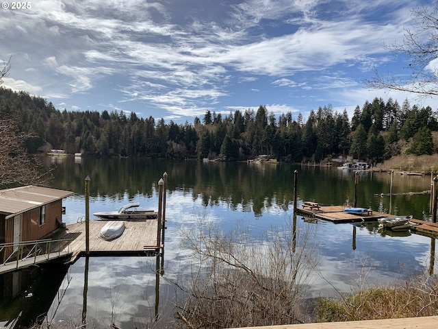 dock area featuring a water view