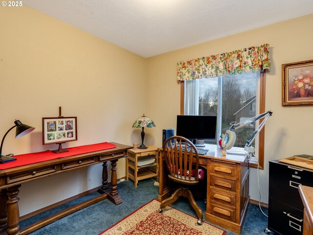 view of carpeted office space