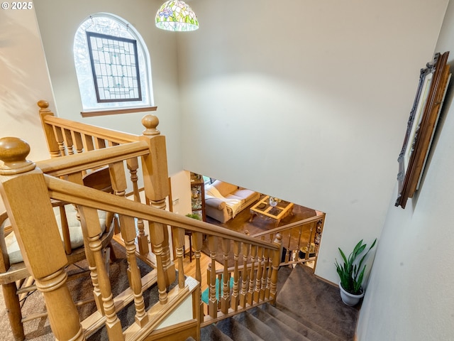 stairway featuring carpet floors