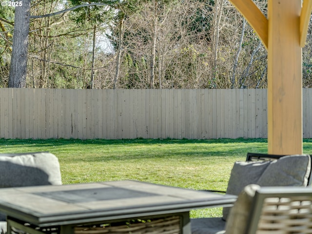 view of yard with a fenced backyard