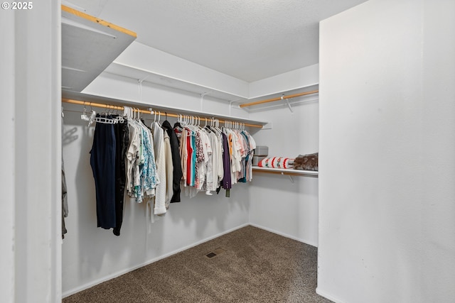 307 Cambridge Dr, Sutherlin, OR 97479 - walk in closet featuring carpet floors