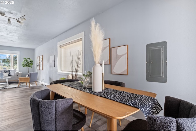 dining room featuring wood-type flooring, electric panel, and a textured ceiling