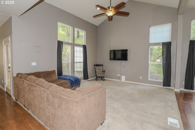 356 Wild Fern Dr, Winchester, OR 97495 - living room featuring high vaulted ceiling, ceiling fan, baseboards, and wood finished floors