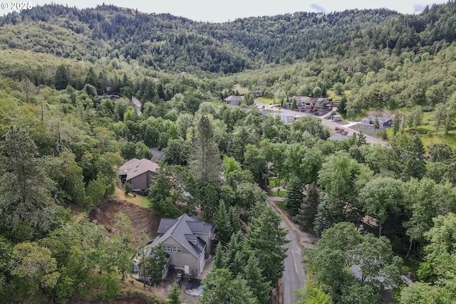 356 Wild Fern Dr, Winchester, OR 97495 - aerial view of property's location featuring a forest