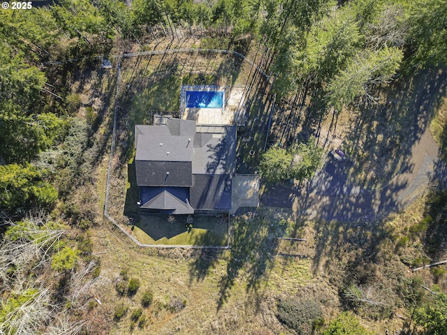 aerial view