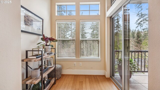 doorway with plenty of natural light, baseboards, and wood finished floors