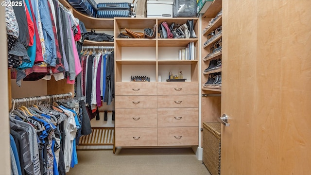 view of walk in closet