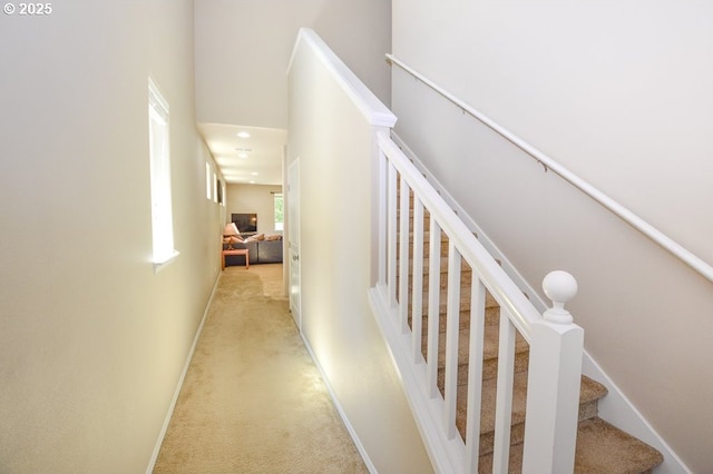 87743 Rendezvous Loop, Veneta, OR 97487 - staircase with carpet and baseboards