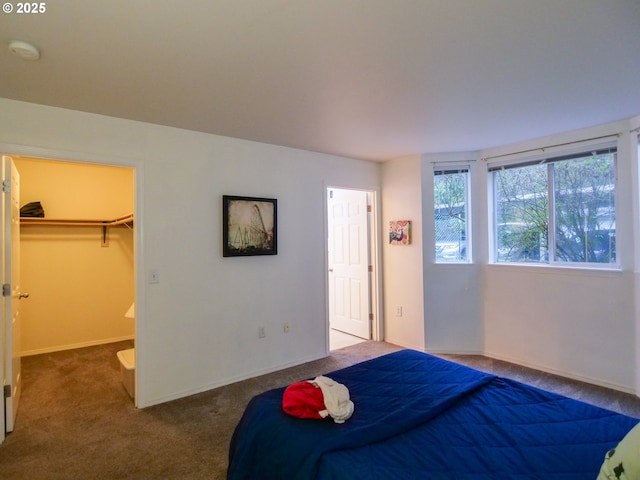 unfurnished bedroom with baseboards, carpet, and a spacious closet