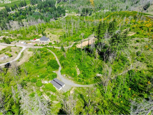 90162 Cascade View Dr, Vida, OR 97488