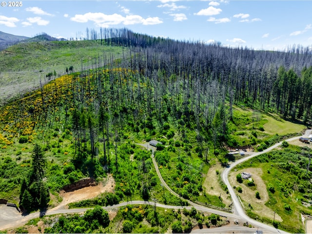 90162 Cascade View Dr, Vida, OR 97488