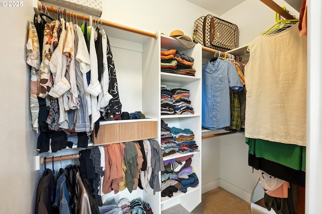 walk in closet with carpet floors