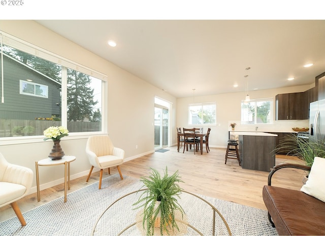 living room with light hardwood / wood-style flooring