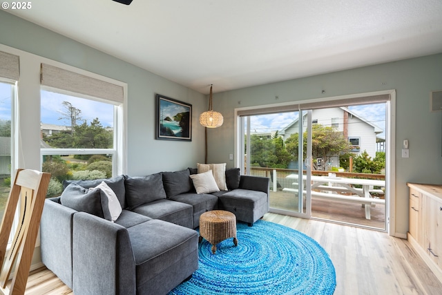 4330 Mcminnville Ave, Neskowin, OR 97149 - living area featuring light wood-type flooring