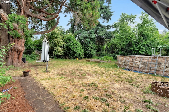 3911 E 16th Ave, Eugene, OR 97403 - view of green lawn
