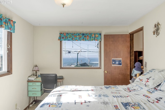 bedroom featuring multiple windows