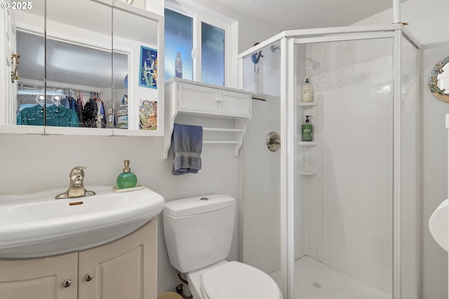 bathroom featuring a shower stall, vanity, and toilet