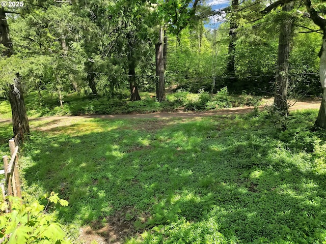 78650 Rat Creek Rd, Cottage Grove, OR 97424 - view of yard featuring a forest view