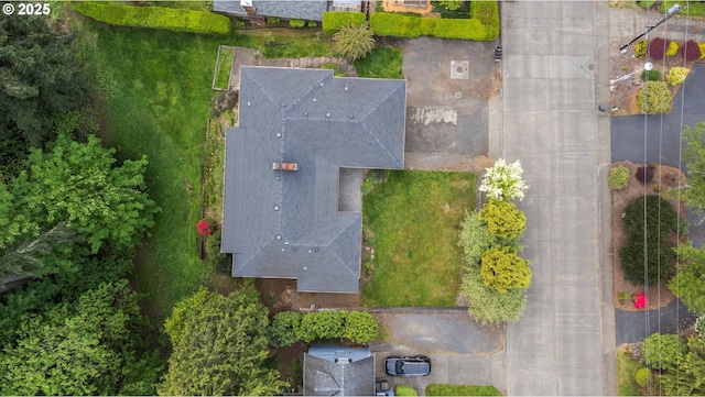 drone / aerial view