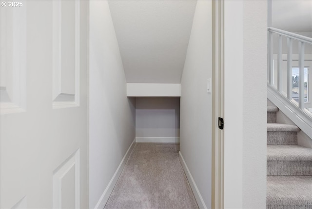 walk in closet with carpet