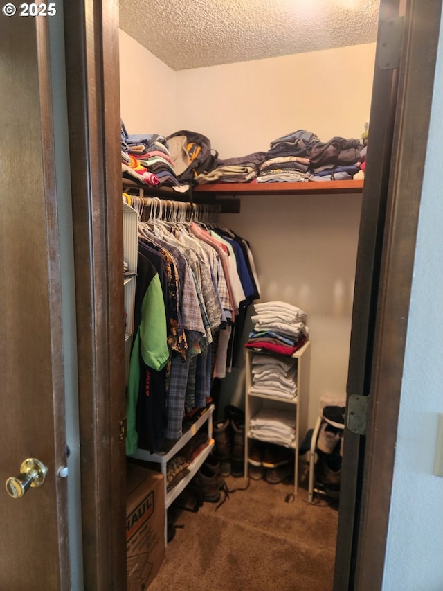 950 Evergreen Rd Unit 109, Woodburn, OR 97071 - walk in closet with carpet flooring