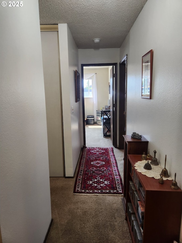 950 Evergreen Rd Unit 109, Woodburn, OR 97071 - hall featuring carpet floors and a textured ceiling