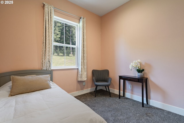19428 NE 259th St, Battle Ground, WA 98604 - bedroom featuring multiple windows, carpet flooring, and baseboards