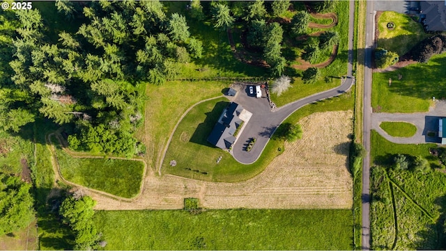 19428 NE 259th St, Battle Ground, WA 98604 - bird's eye view