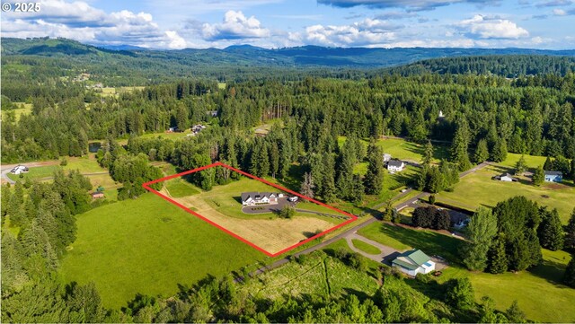 19428 NE 259th St, Battle Ground, WA 98604 - aerial view of property and surrounding area with a forest, property parcel outlined, and mountains