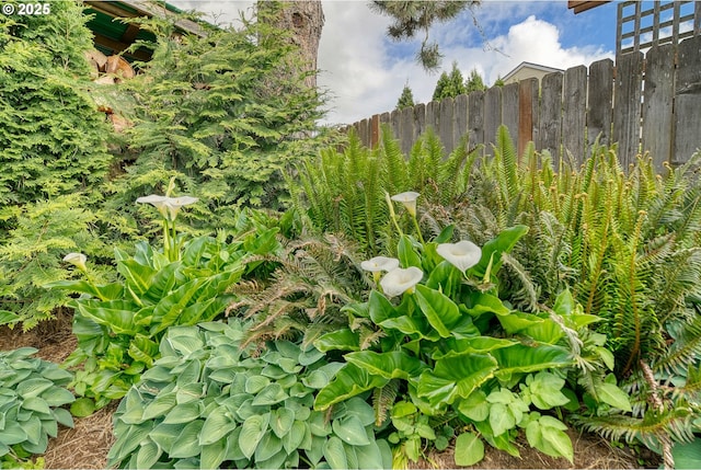 33855 NE Blossom Dr, Scappoose, OR 97056 - view of yard