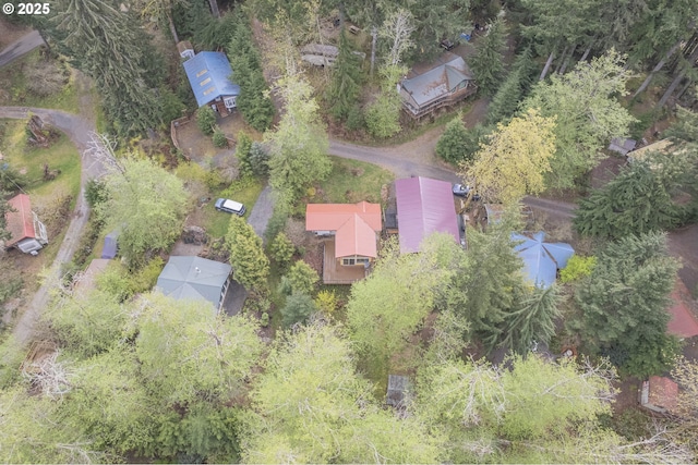 24706 NE Columbia Tie Rd Unit 41/21, Amboy, WA 98601 - bird's eye view