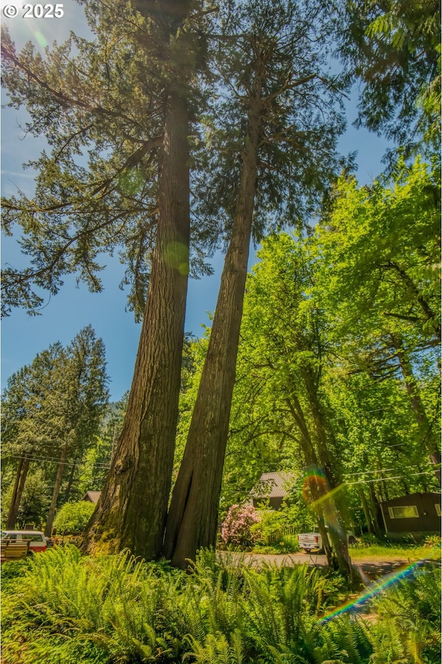 26630 E Roberts Rd, Welches, OR 97067 - view of nature