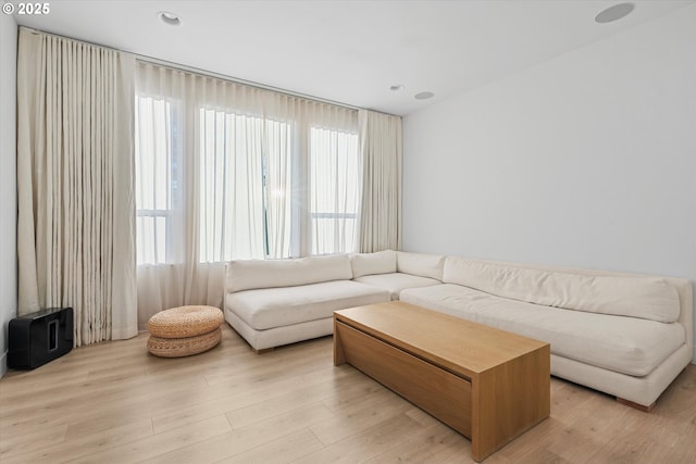 living room with light wood-type flooring