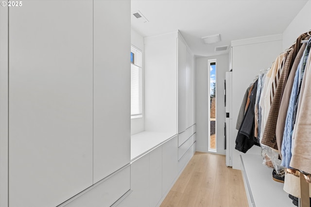 walk in closet with light hardwood / wood-style floors