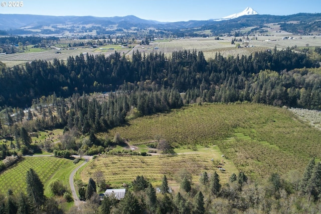 aerial view featuring a rural view and a mountain view