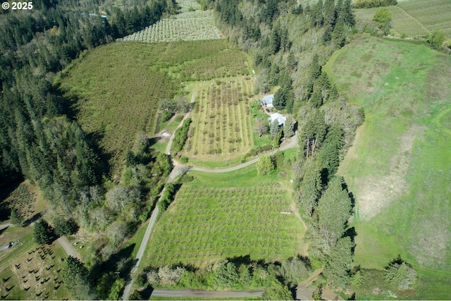 drone / aerial view featuring a rural view