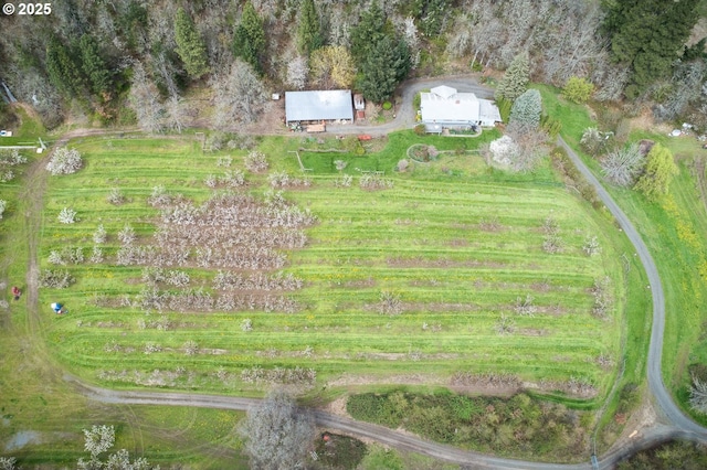 birds eye view of property featuring a rural view