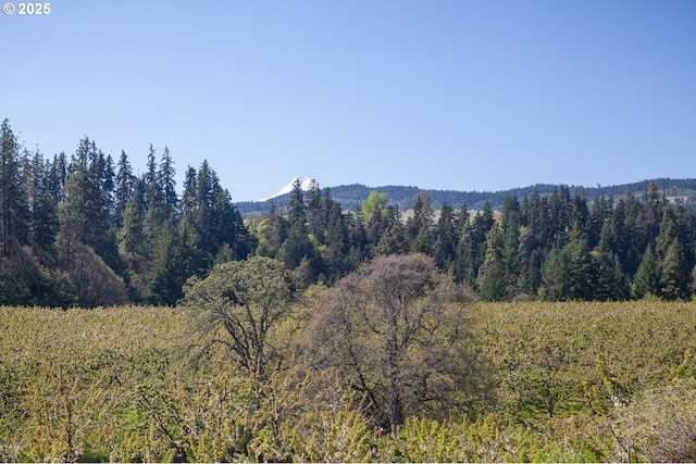 mountain view with a view of trees