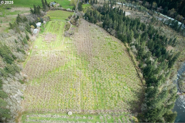 aerial view featuring a rural view