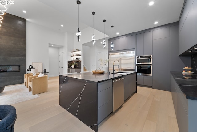 kitchen with light wood finished floors, a fireplace, stainless steel appliances, modern cabinets, and a sink