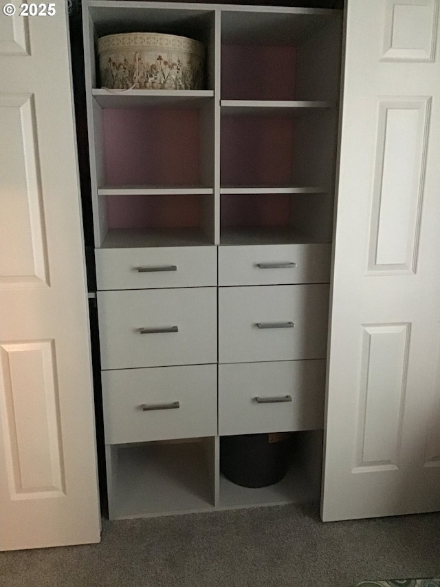 view of closet