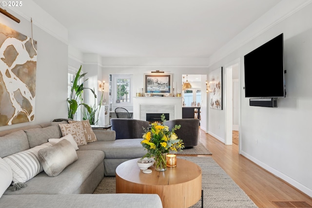 living room featuring light hardwood / wood-style floors