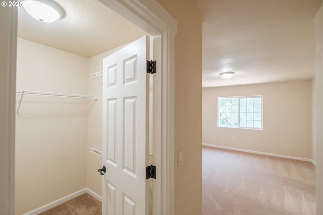 14146 Brittany Ter, Oregon City, OR 97045 - hallway featuring carpet floors, baseboards, and a textured ceiling