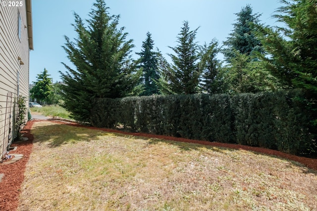 14146 Brittany Ter, Oregon City, OR 97045 - view of green lawn