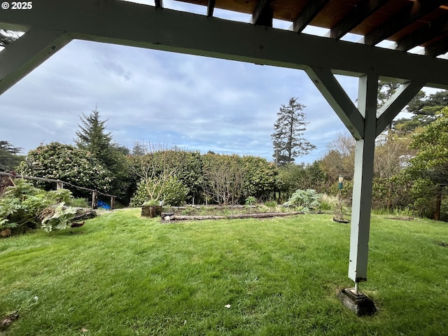 view of yard
